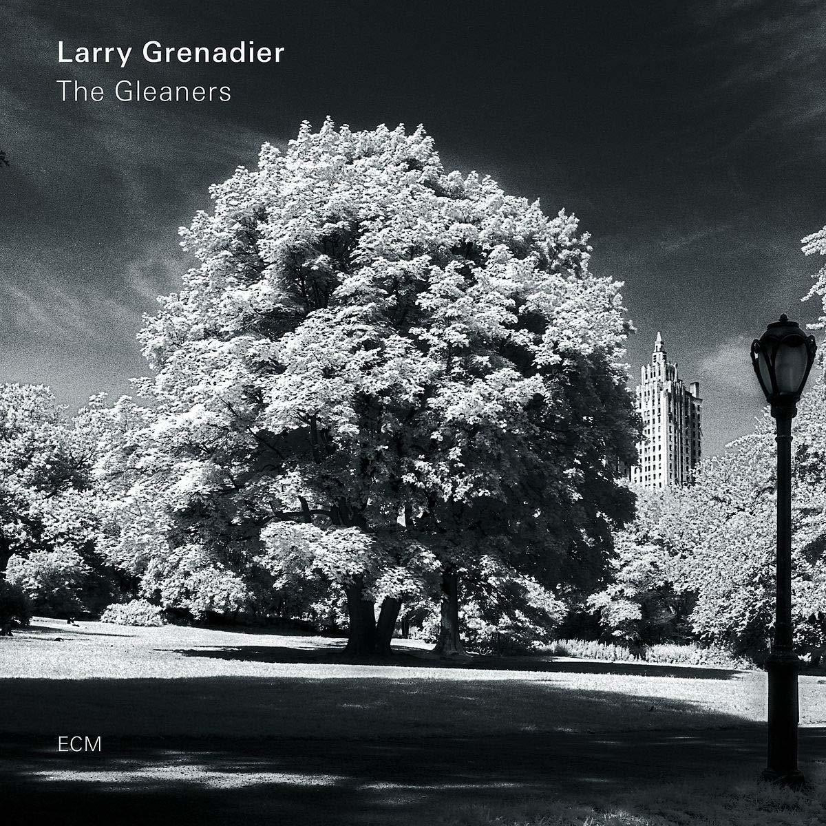 Larry Grenadier - The Gleaners  - (CD)