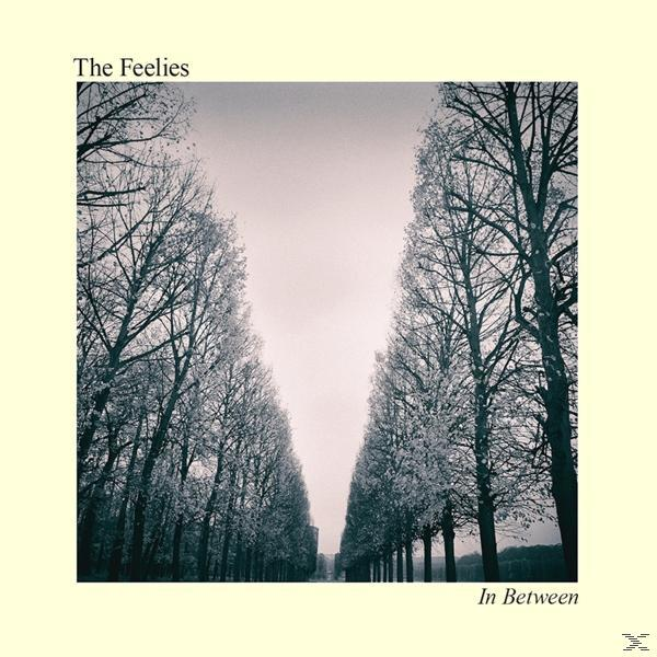 The Feelies In - Between - (Vinyl)