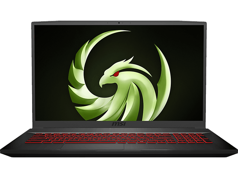 MSI Bravo 17 A4DDR, Gaming Notebook, mit 17,3 Zoll Display, AMD Ryzen