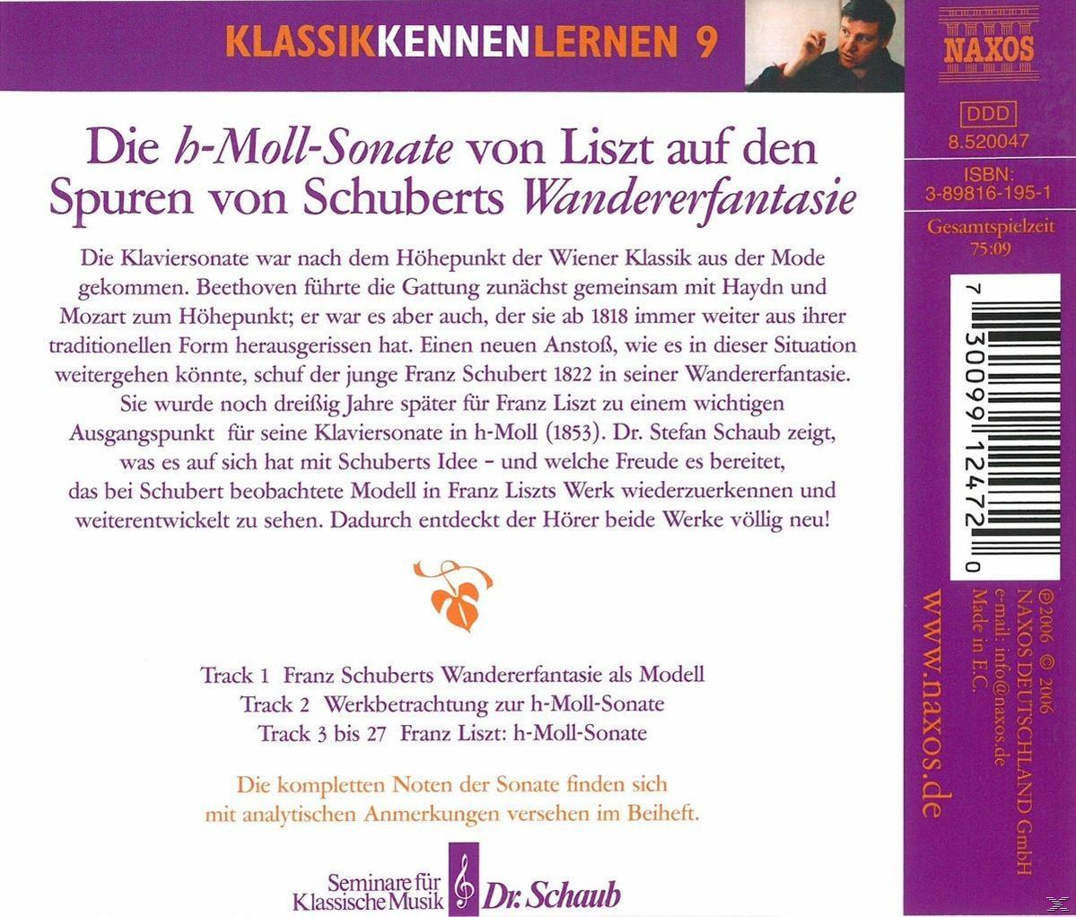 Stefan Schaub - Die h-moll-Sonate Von Liszt  - (CD)