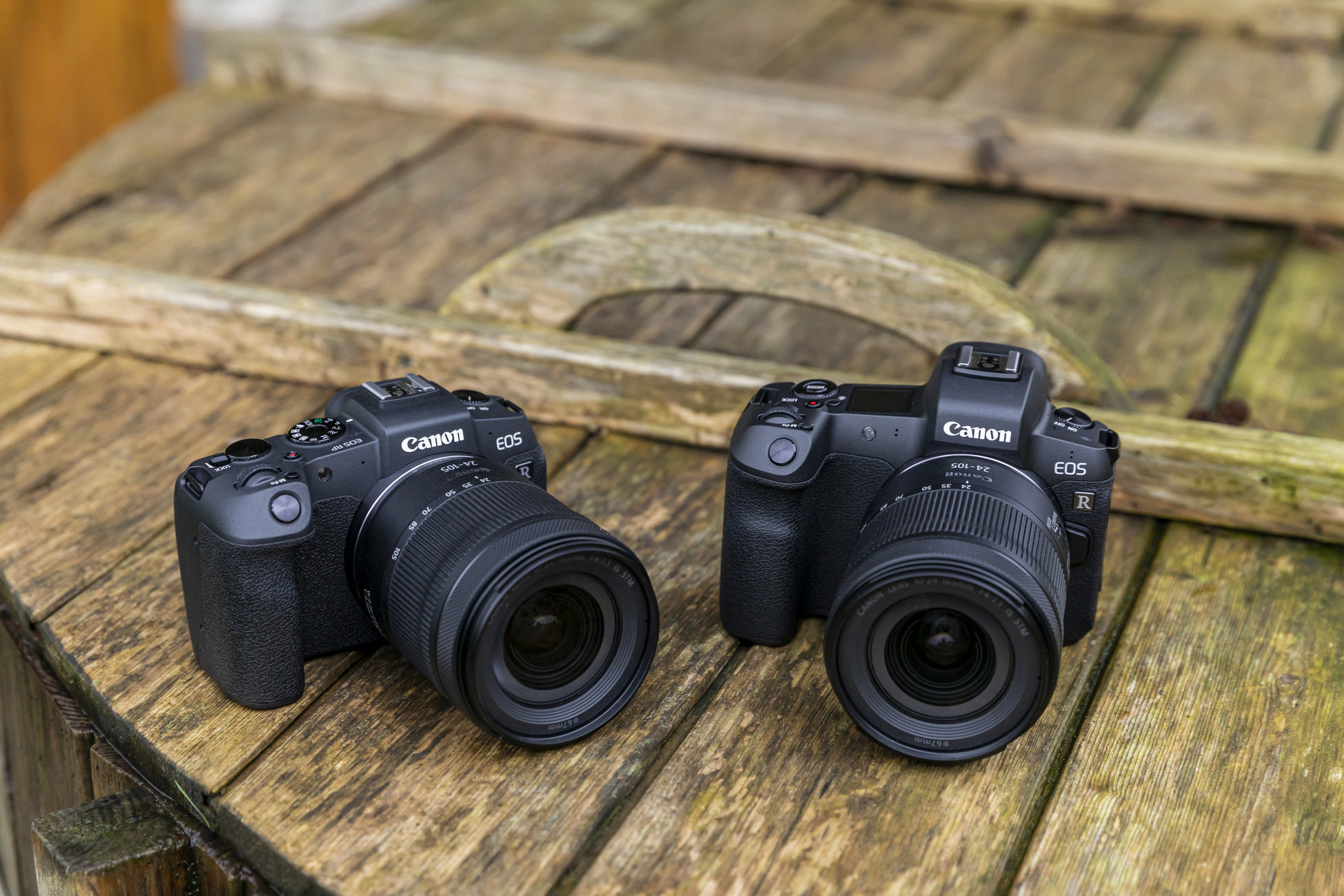 Zwei schwarze Canon EOS R Kameras mit Objektiven auf einer Holzoberfläche.