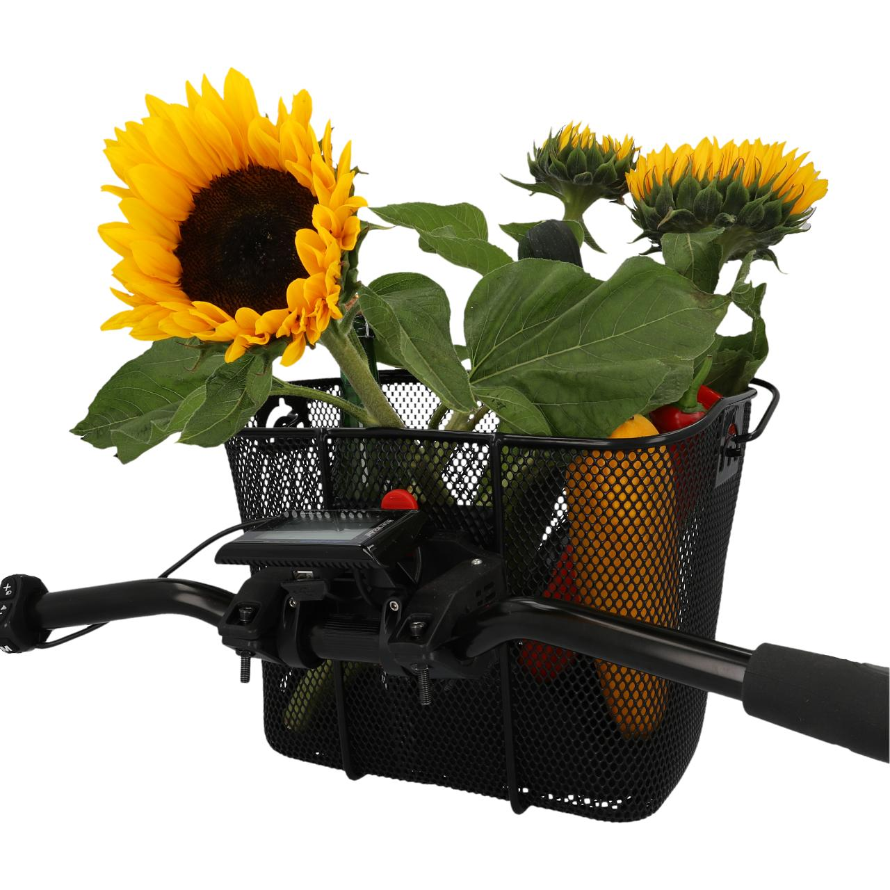 Sonnenblume und andere Blumen in einem Fahrradkorb, auf weißem Grund.