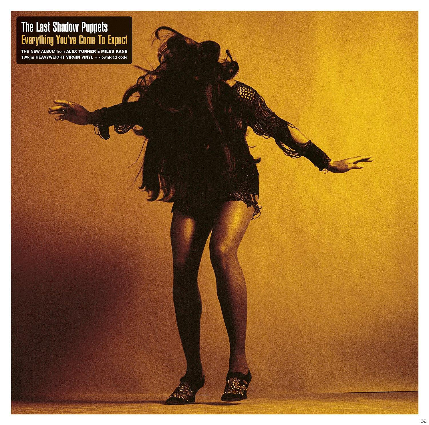 Albumcover: The Last Shadow Puppets. Eine Frau in einem schwarzen Kleid tanzt vor gelbem Hintergrund.