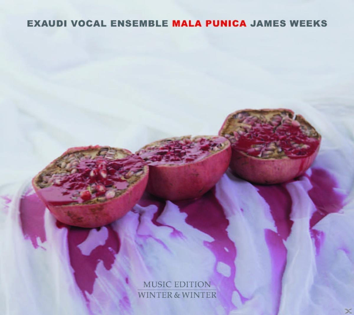 Exaudi-(vocal Ensemble) - Mala Punica  - (CD)
