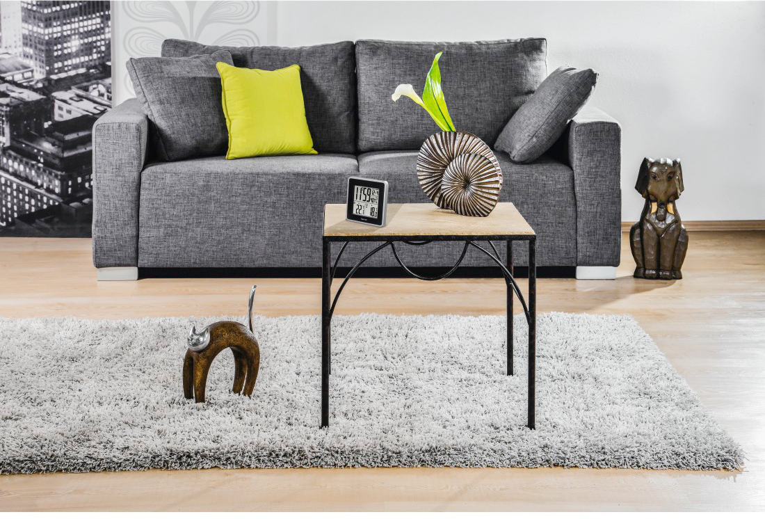 Wohnzimmer mit grauem Sofa, Tisch, Teppich und Dekorationen. Eine Katzenskulptur und eine Hundestatue.