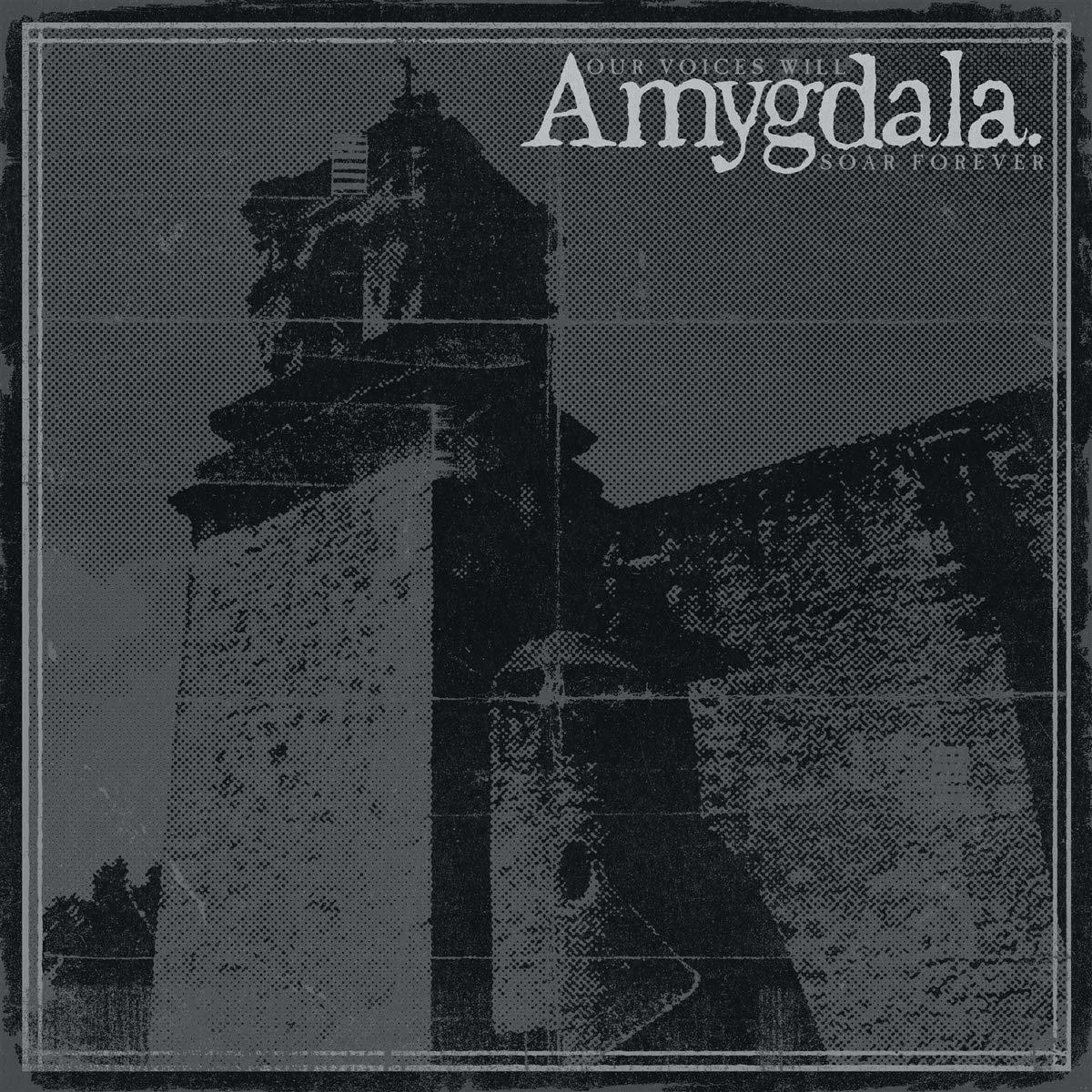 Amygdala - Our Voices Will Soar Forever  - (CD)