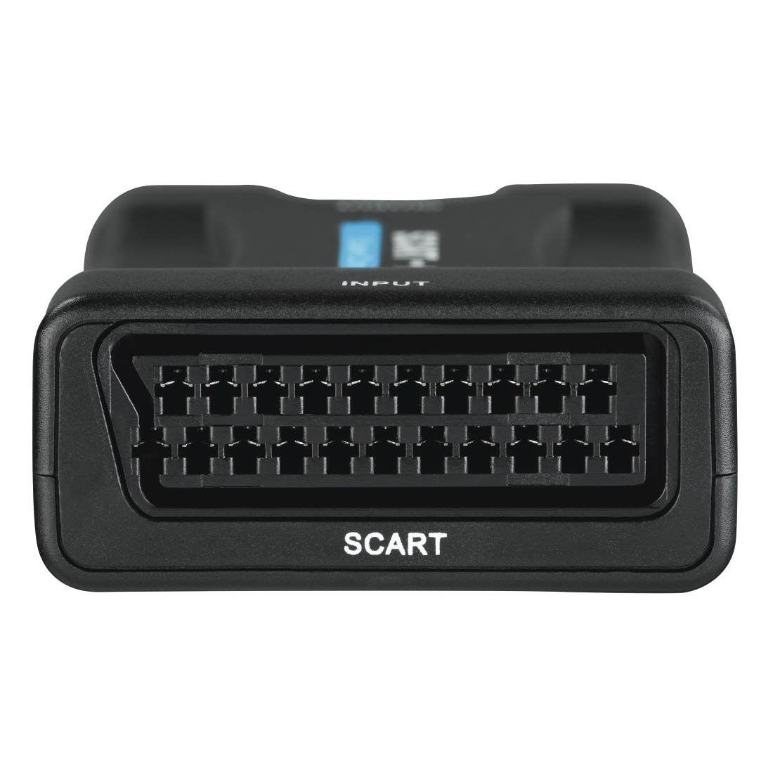 Schwarzer SCART-Anschluss mit mehreren Pins. Das Wort INPUT steht darüber und SCART darunter.