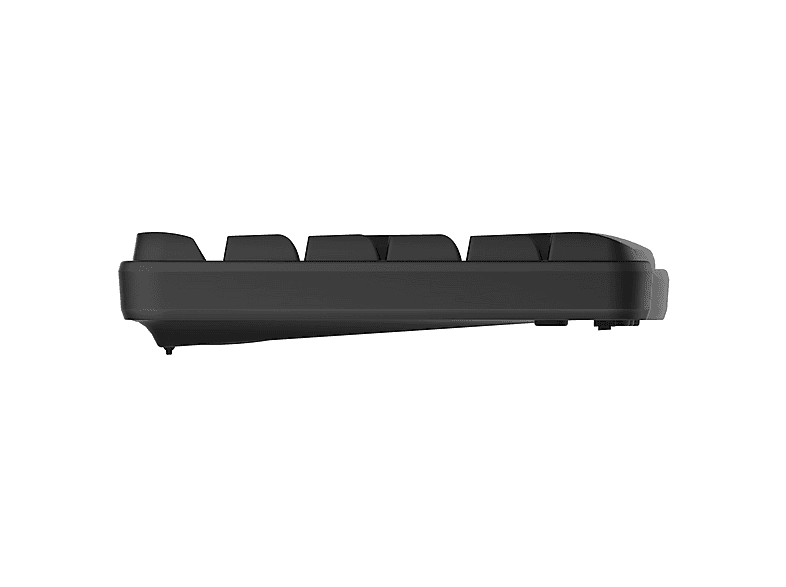 RAPOO NX1820, Tastatur & Maus Set, kabelgebunden, Schwarz