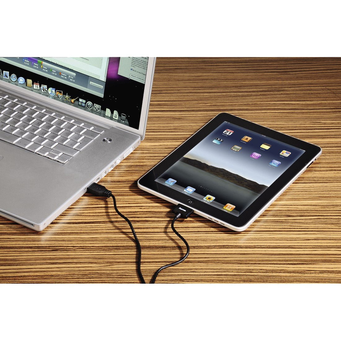 HAMA 106311 USB-Kabel für Apple iPad, 30-Pin, 1 m, Schwarz