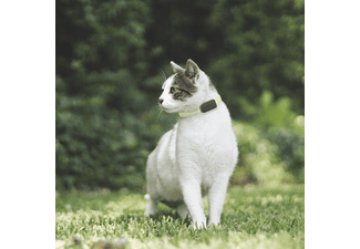 INVOXIA Pet GPS-Tracker für Haustiere