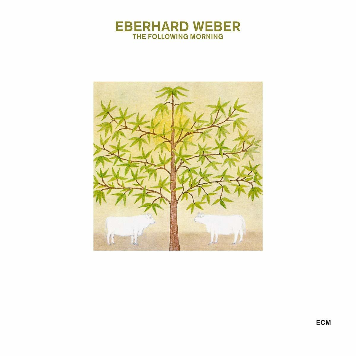 Eberhard Weber - The Following Morning (Touchstones)  - (CD)