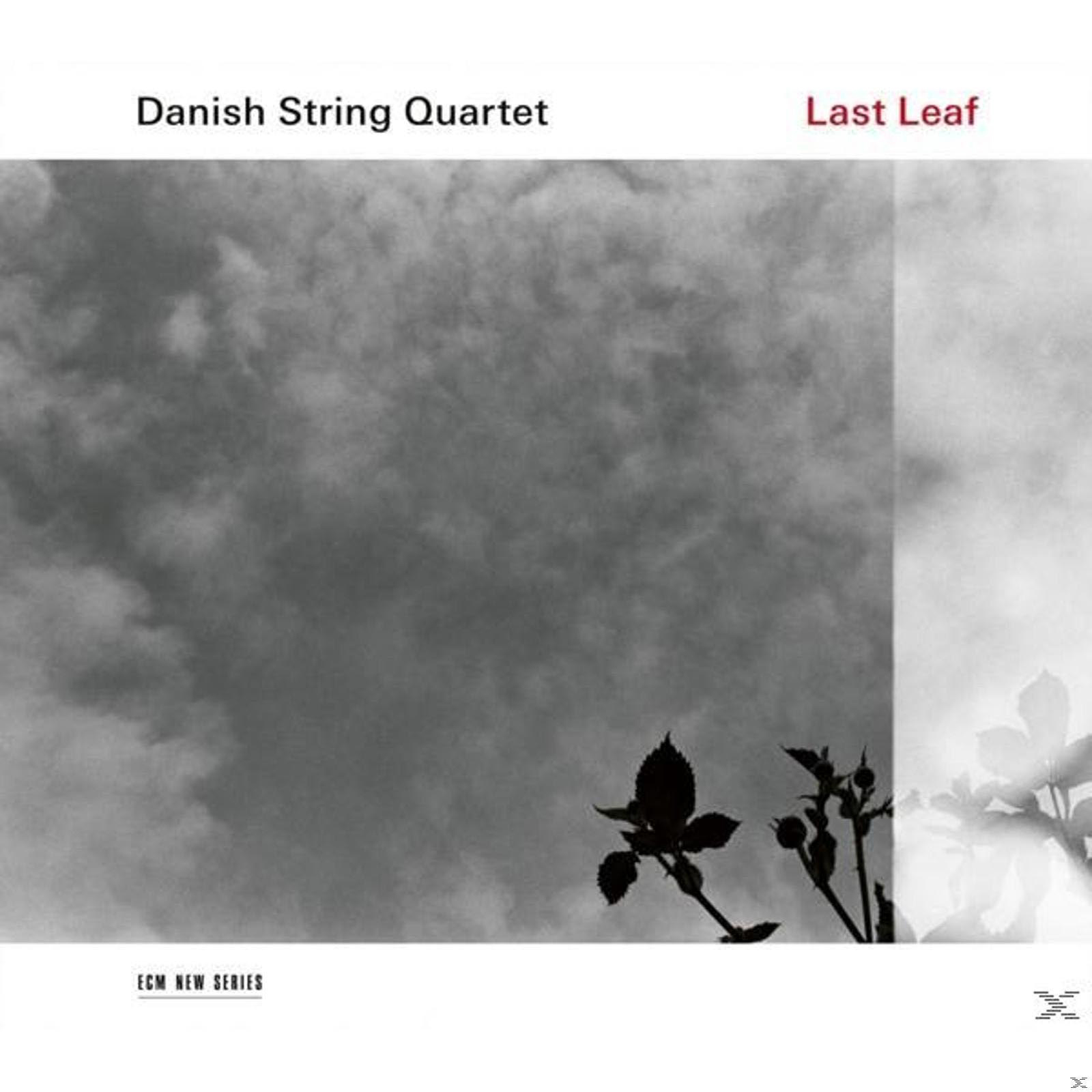 Danish String Quartet - Last Leaf  - (CD)