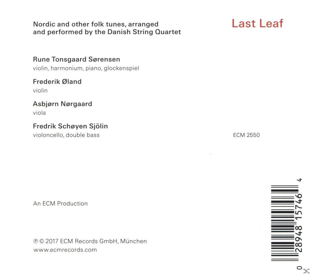 Albumcover. Text und Credits für "Last Leaf". Weißer Hintergrund.