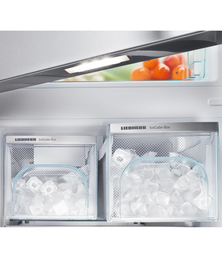 Inside a refrigerator, two ice cube boxes are visible.