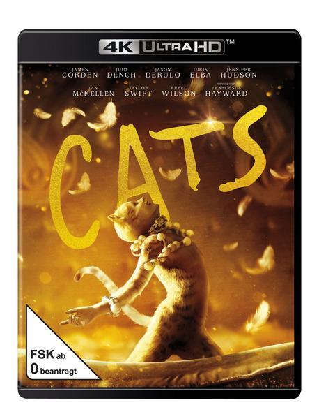 Cats  - (Blu-ray)