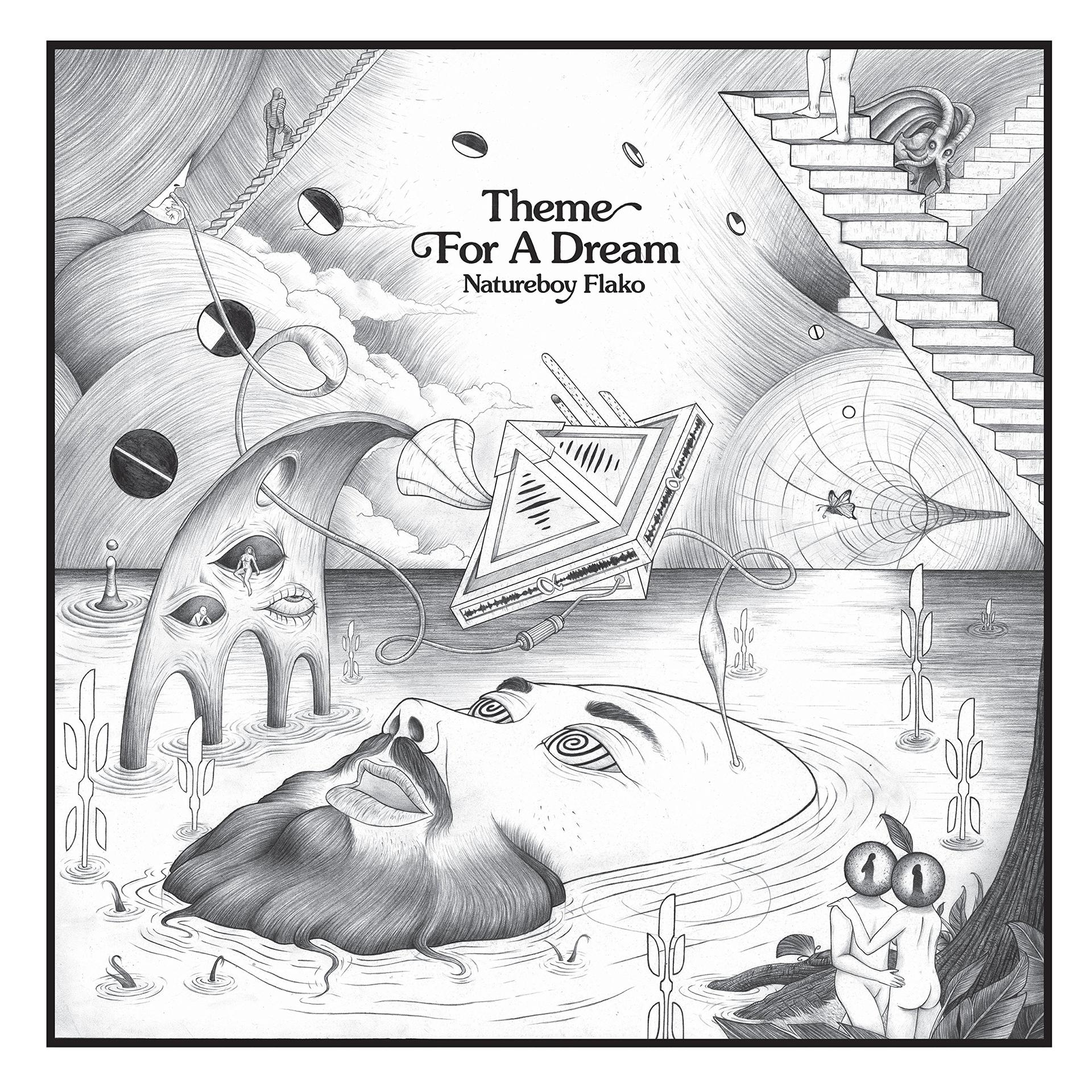 Natureboy Falko - Theme For A Dream  - (Vinyl)