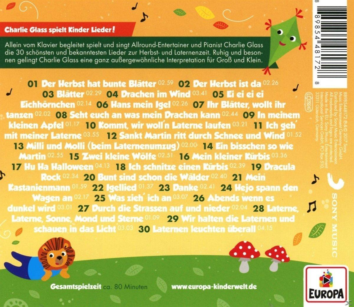 Rückseite einer deutschen Musik-CD mit Text und Illustrationen. Bunte Bilder und Cartoon-Design.