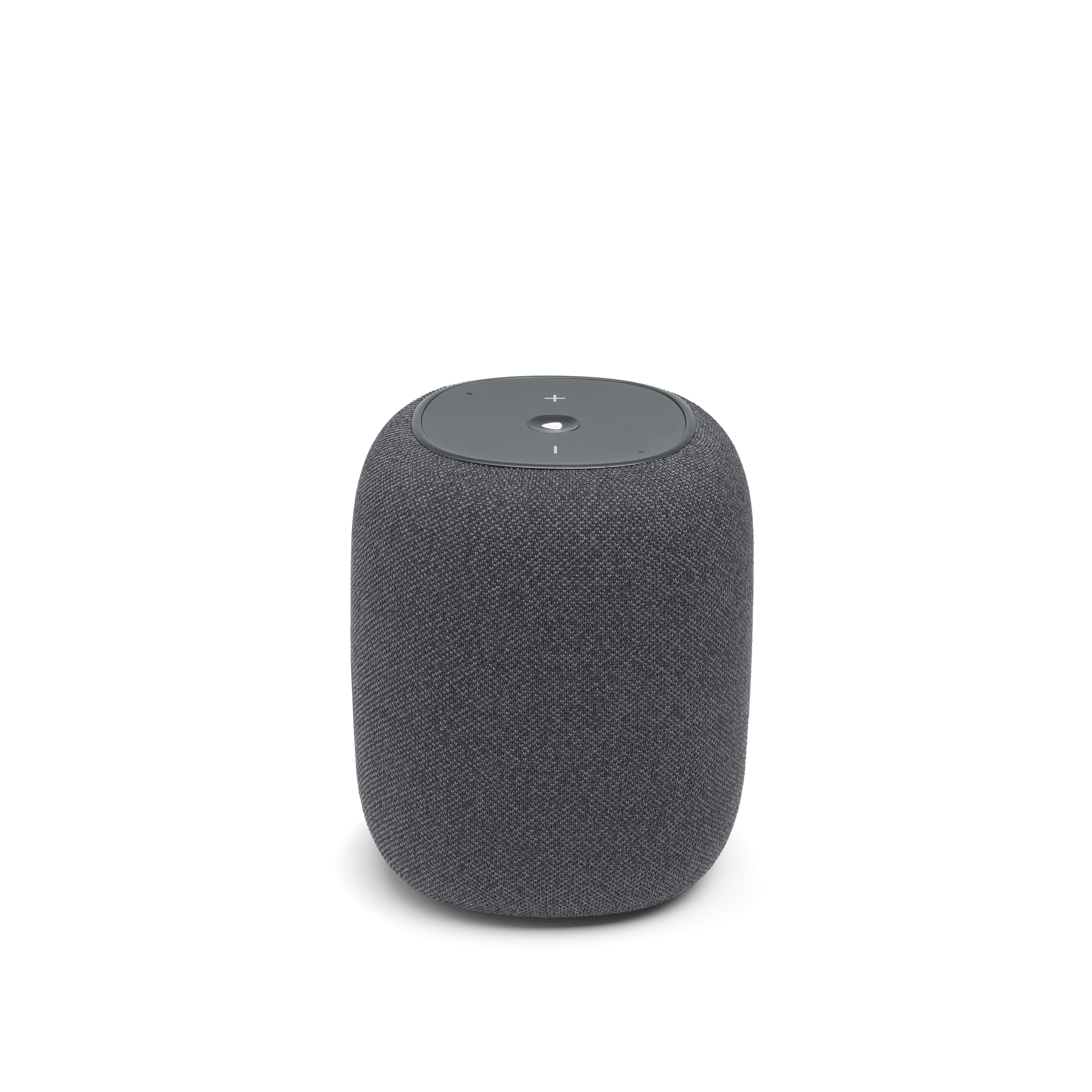 JBL Link Music Grijs