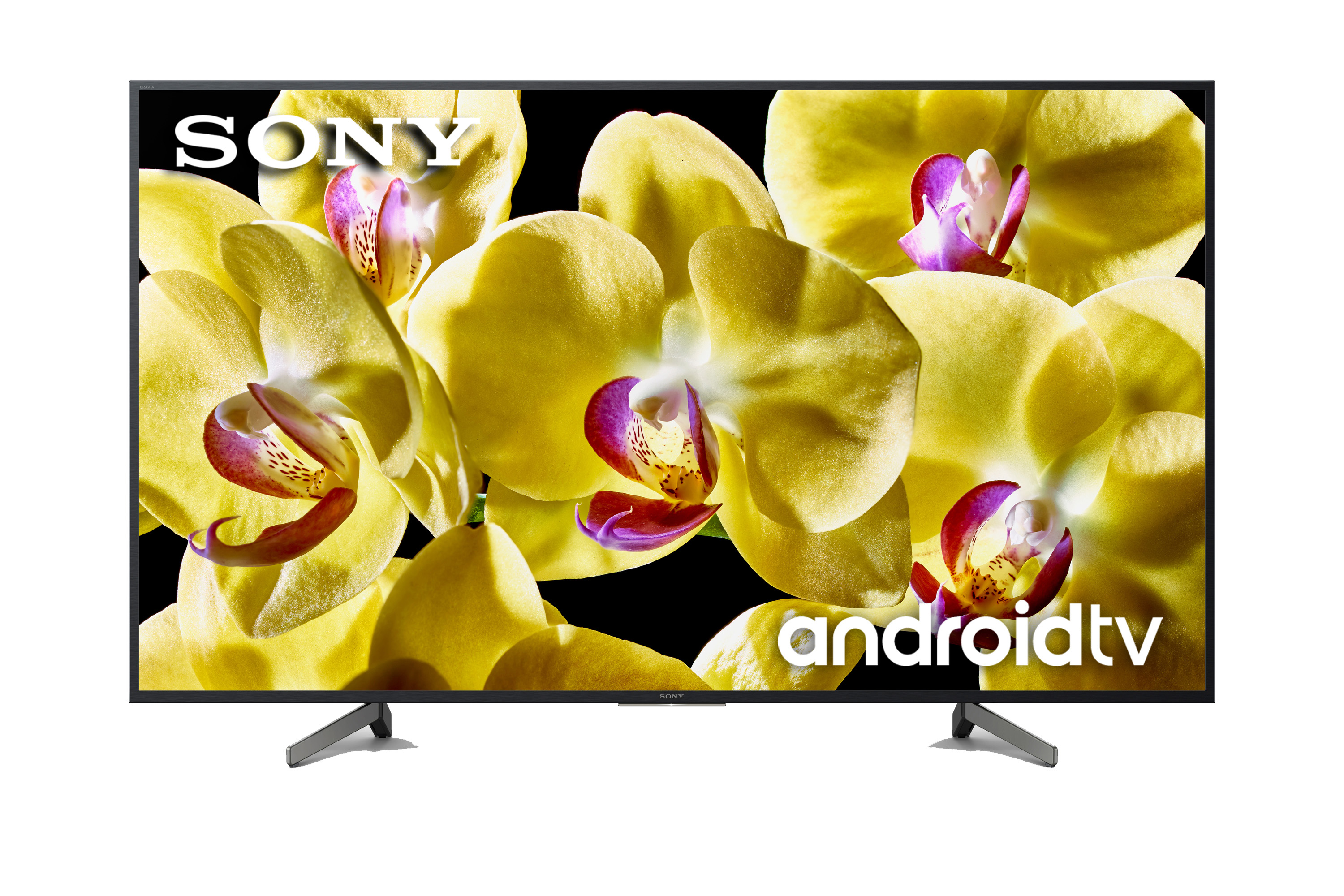 TV LED 65" - Sony KD-65XG8096, Ultra HD 4K, HDR, Android 8.0 Oreo, Triluminos, Asistente de Google