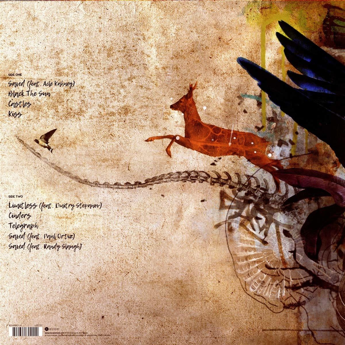 Daniel Tompkins - Castles  - (Vinyl)