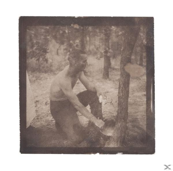 Old Fire - Songs From The Haunted South  - (CD)