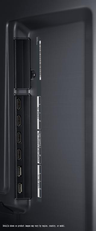 La parte trasera de un televisor negro. Los puertos son visibles, etiquetados con texto. Imagen vertical.
