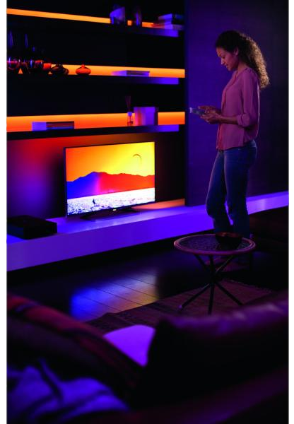 Donna con camicia rosa con un telefono. È in piedi di fronte a una TV con una scena di tramonto.