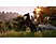 Switch - Ostwind: Aris Ankunft /D