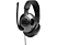 JBL Gamingheadset Quantum 300 (JBLQUANTUM300BLK)