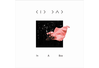 Kid Dad - IN A BOX  - (Vinyl)