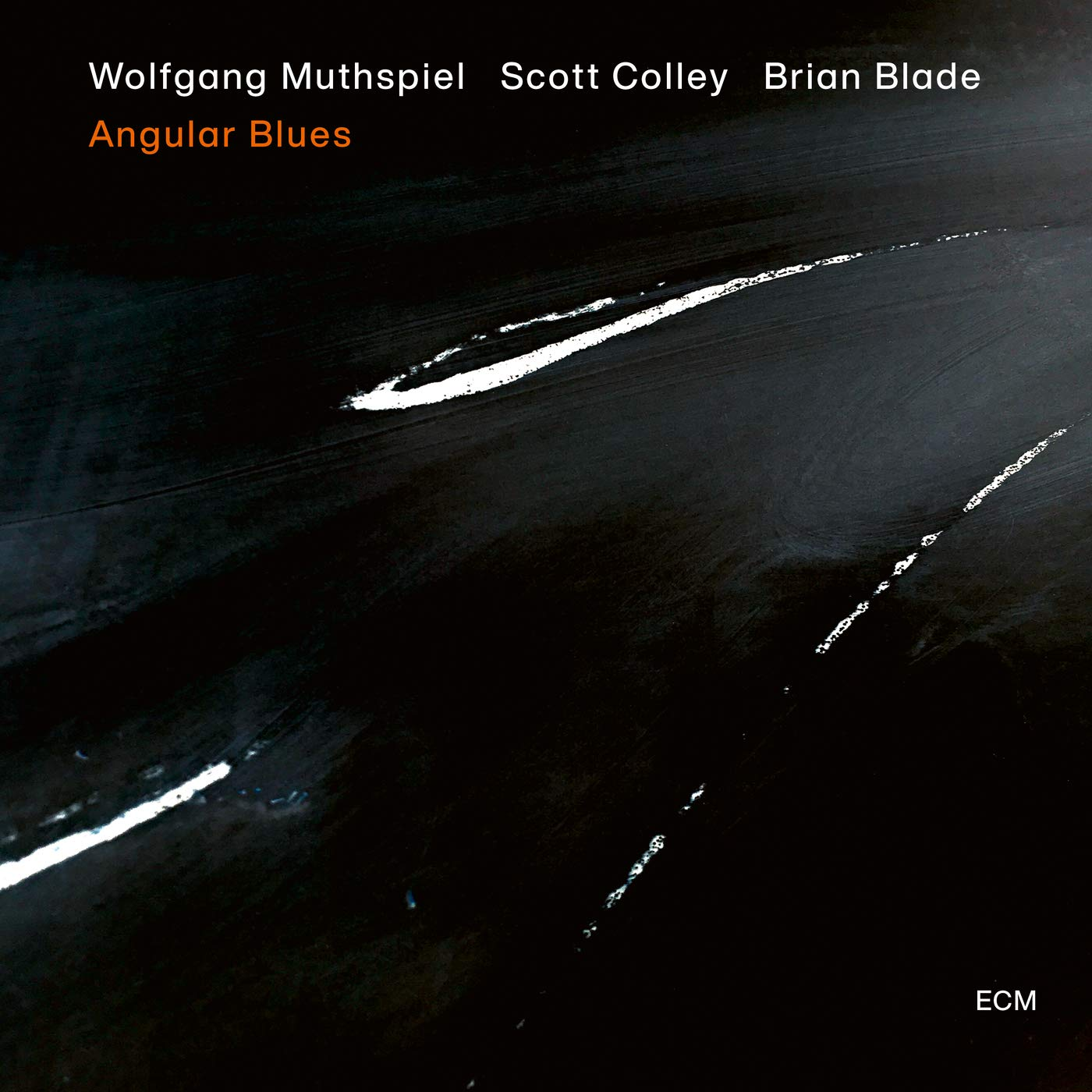 Wolfgang Muthspiel, Scott Colley, Brian Blade - Angular Blues (CD)
