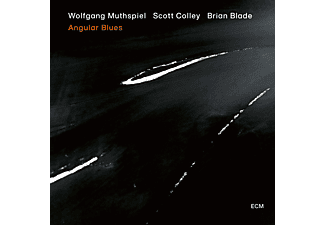 Wolfgang Muthspiel, Scott Colley, Brian Blade - Angular Blues (CD)