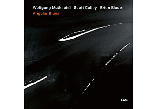 Wolfgang Muthspiel, Scott Colley, Brian Blade - Angular Blues (Vinyl LP (nagylemez))