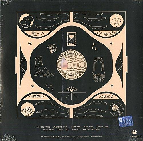 Wink Cosmic Williamson - (Vinyl) (LP) - Jess