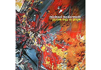 Michael Mcdermott - WHAT IN THE WORLD  - (CD)