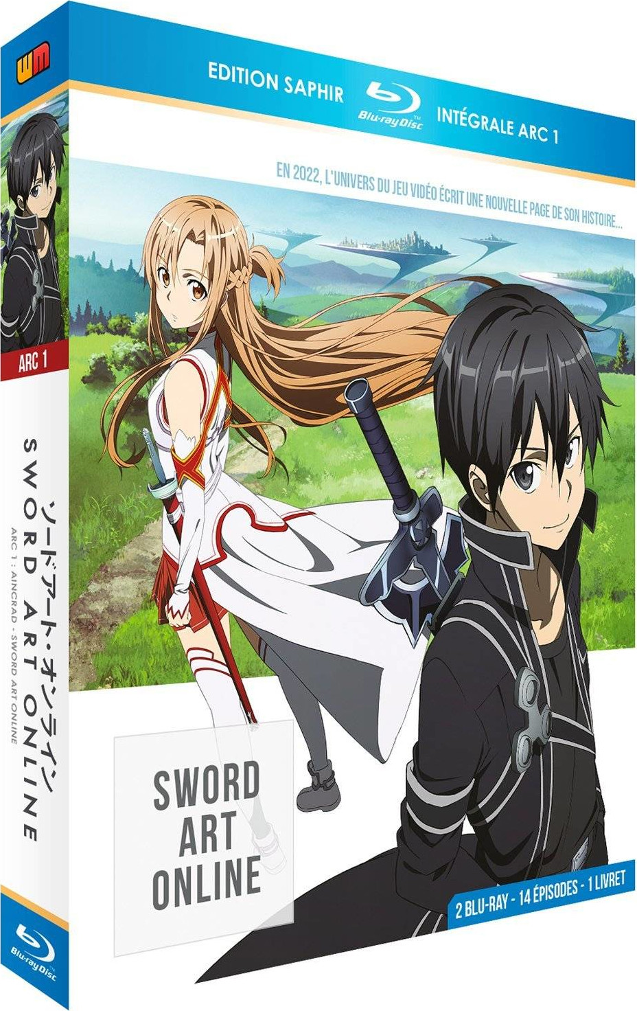 Coffret anime avec deux personnages, une fille aux longs cheveux et un garçon avec une épée.
