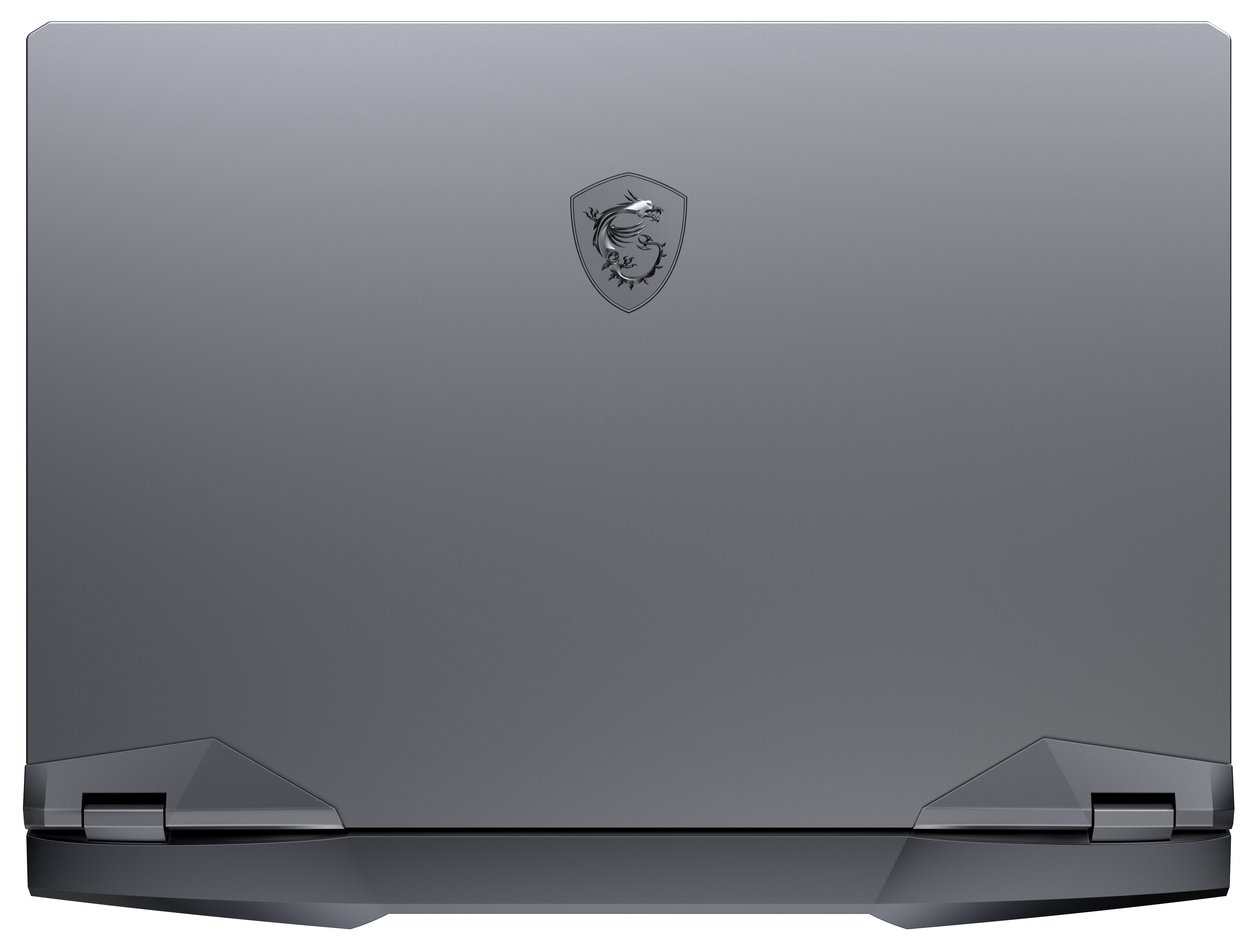 MSI GE66 Raider 10th - 15,6 Zoll - Intel® Core™ i9 i9-10980HK - 32 GB - 1 TB - NVIDIA GeForce RTX™ 2080 Super™ - Windows 10 Pro (64 Bit)