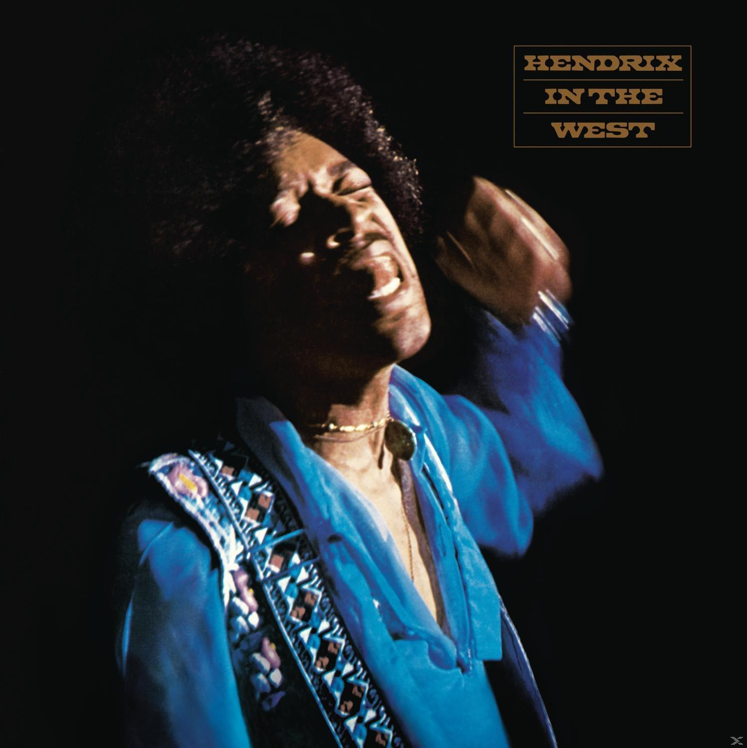 Hendrix album borítója. Énekes afroval, kék inggel, énekel, sötét háttér.