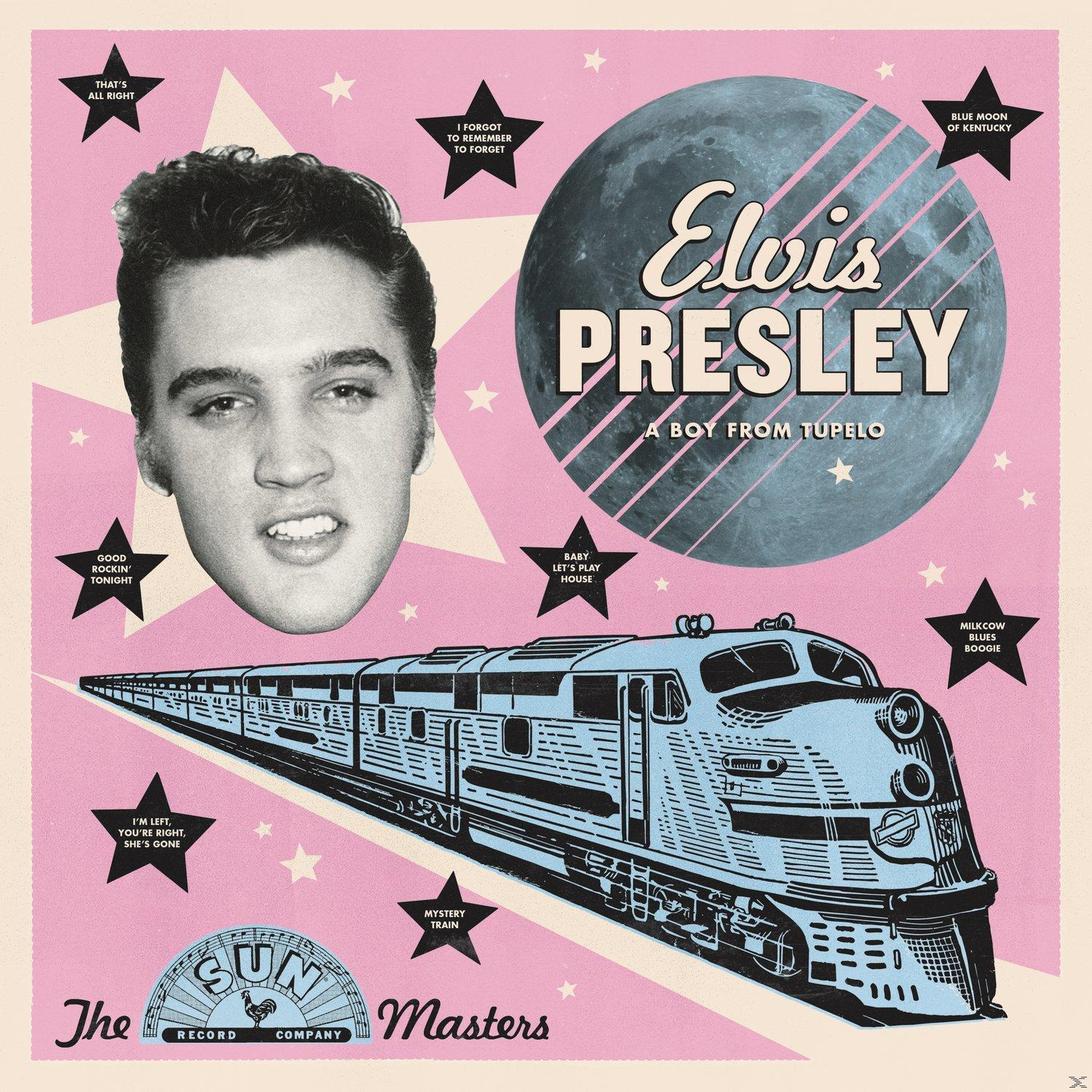 Poster von Elvis Presley. Gesicht oben. Zug unten. Songtitel in schwarzen Sternen. Rosa und hellblaue Farben.