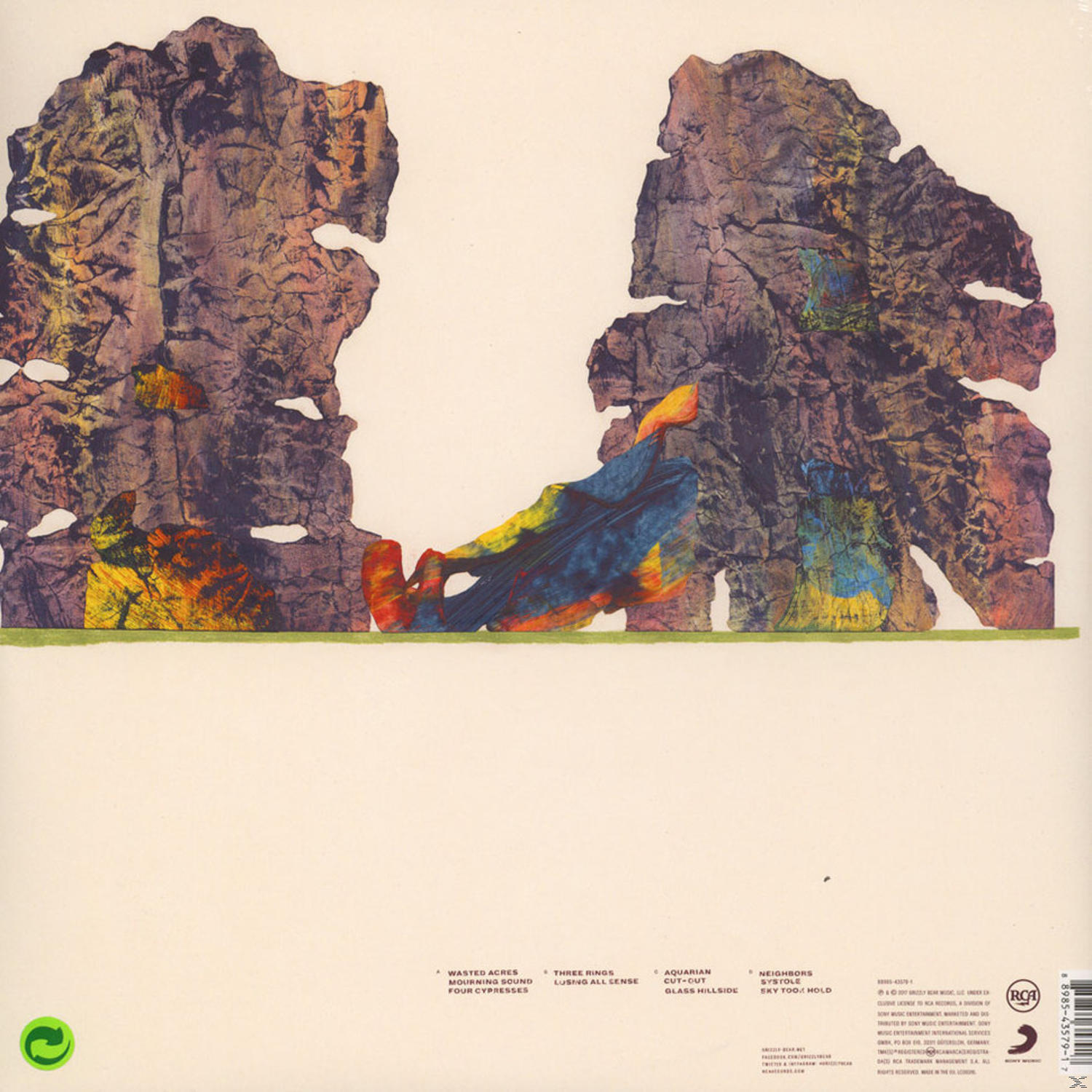 Grizzly Bear - Painted Ruins  - (Vinyl)