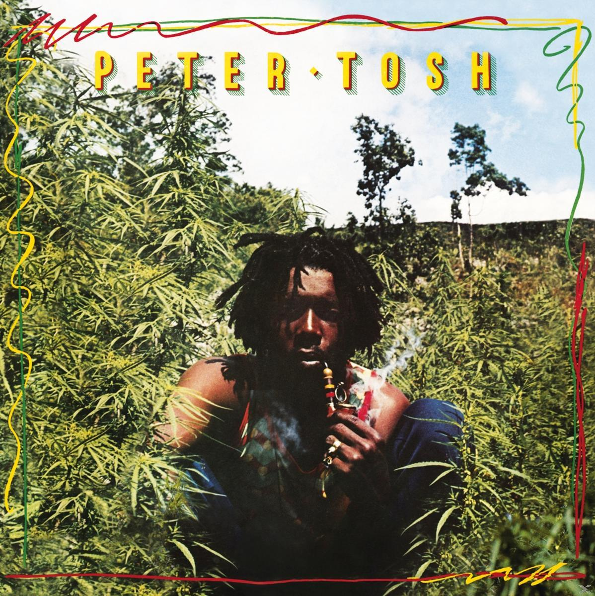 Album borítója Peter Tosh-sal, aki dohányzik, marihuána növényekkel körülvéve.