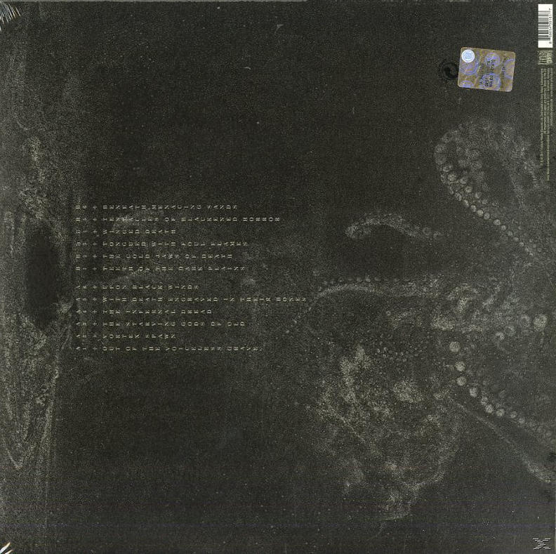 Schwarz-graue Schallplatte mit Text, möglicherweise ein Musikalbum, auf dunkler Oberfläche.