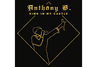 Anthony B | KING IN MY CASTLE - (Vinyl) Anthony B Auf Vinyl Online ...