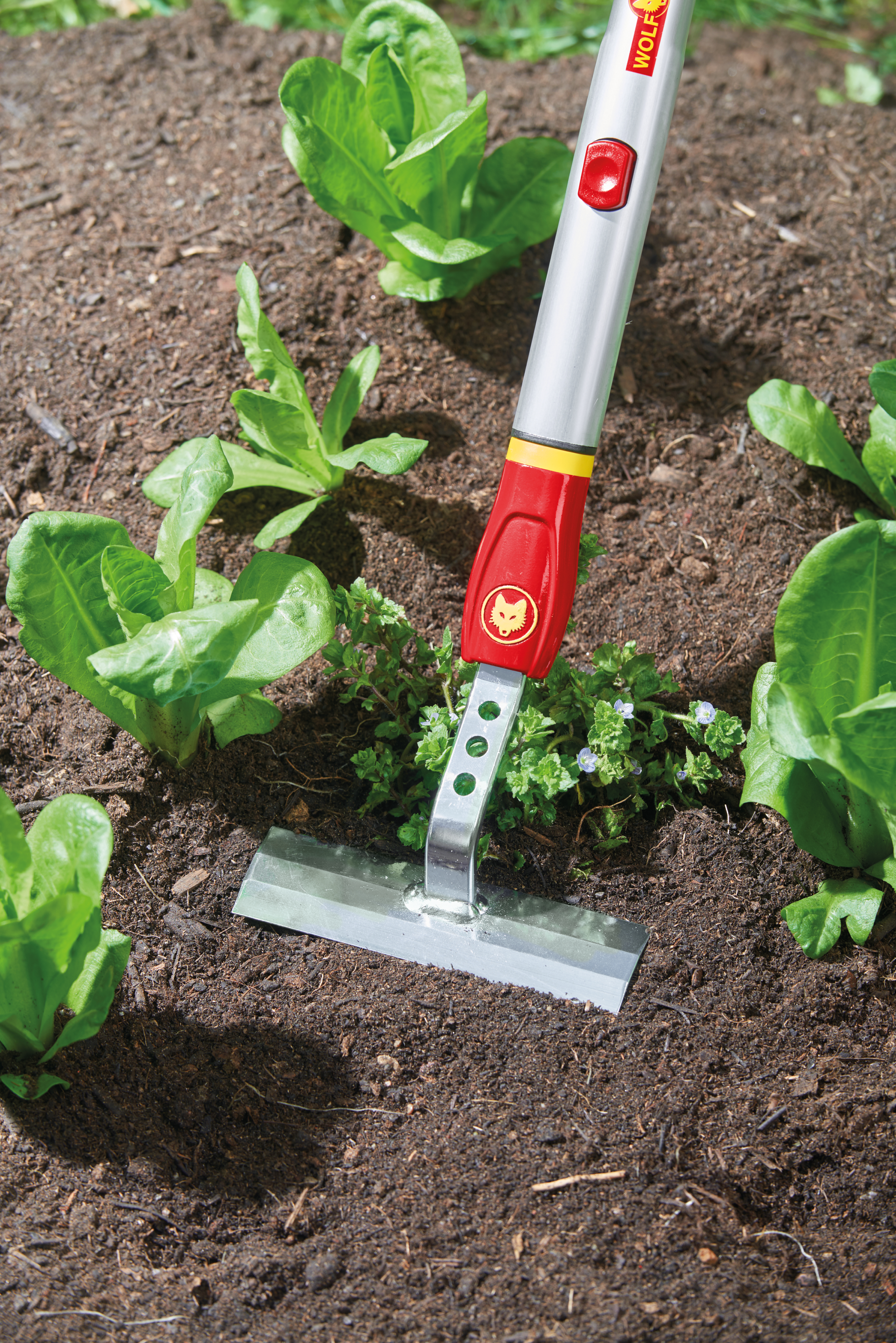WOLF GARTEN multi-star® GS-M 16 Schuffel Rot