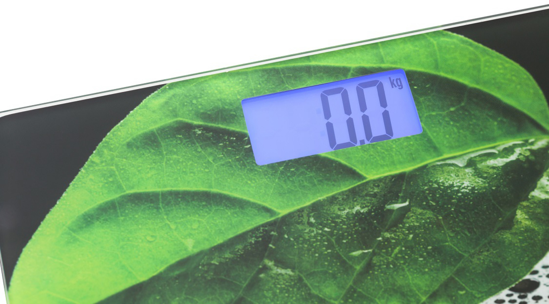 Egy digitális konyhai mérleg közelképe, levélmintával és 0,0 kg számmal.