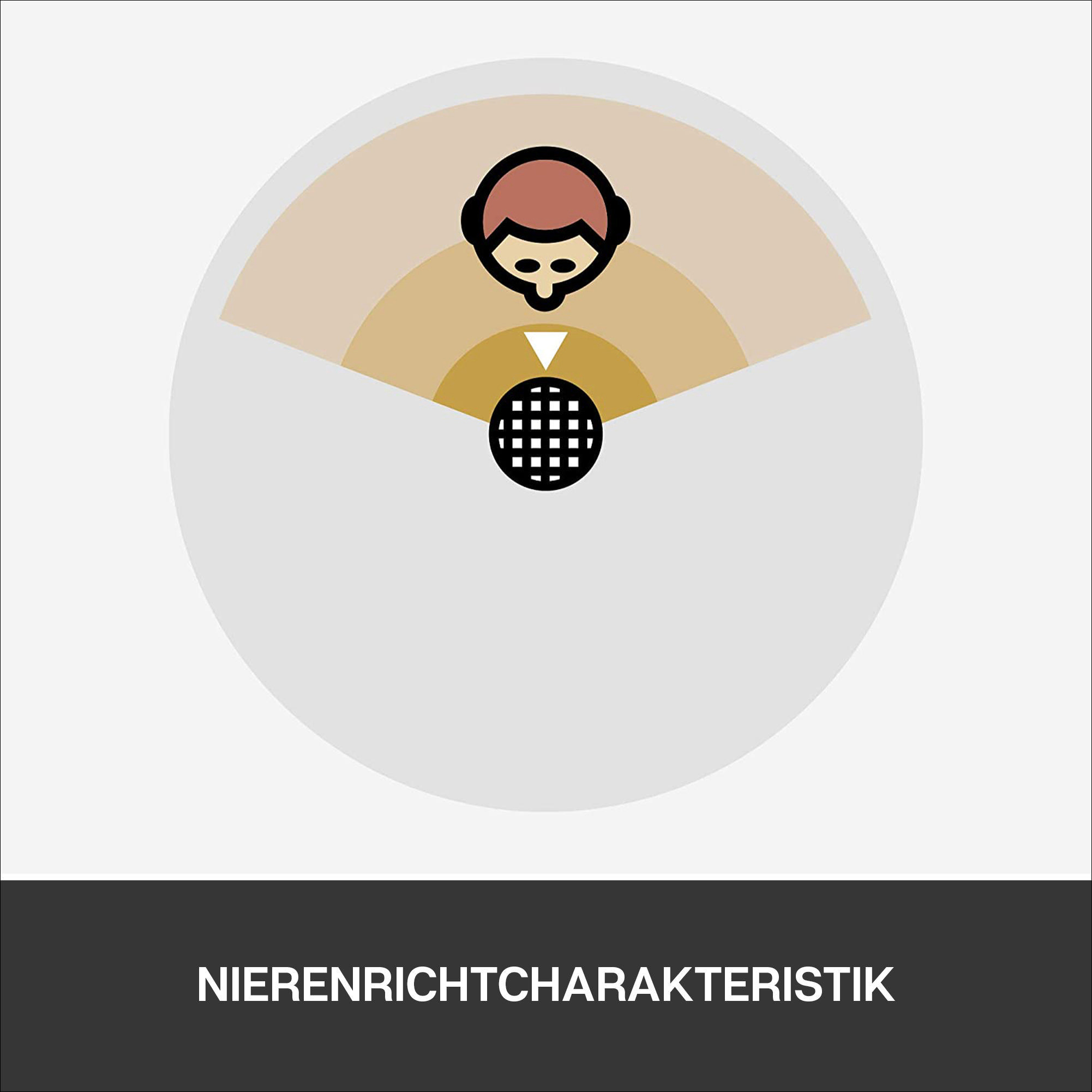 Illustration einer Person mit Audiogramm, das Richtcharakteristiken zeigt.