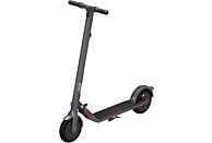 SEGWAY Kickscooter E22E