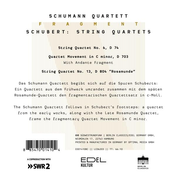 Ein Buchcover mit deutschem Text über ein Schumann-Quartett und Schubert.
