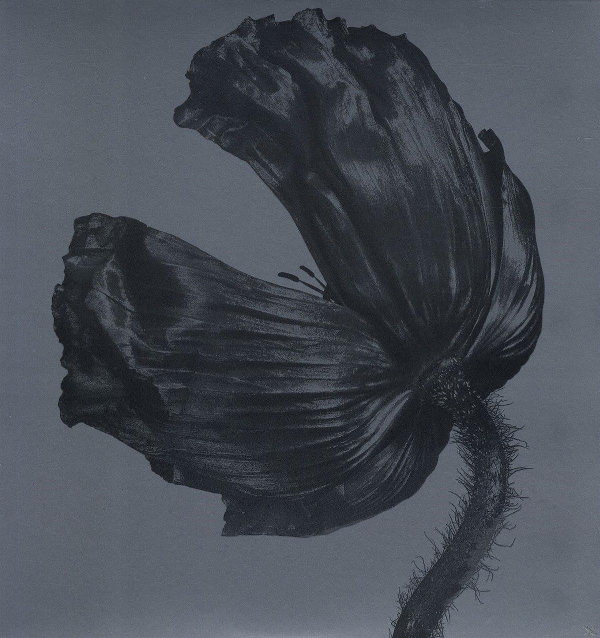 Pet Shop Boys - Release (Remastered) (Vinyl LP (nagylemez))