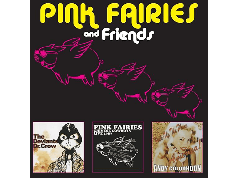 Pink And Fairies Fairies (CD) - Friends - Pink